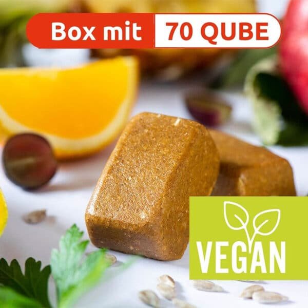 Swiss QUBE - Fruchtig - Box mit 70 Qube